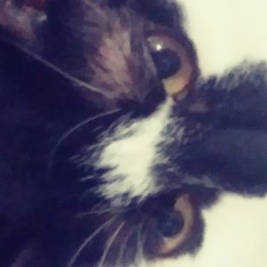 Meet your Posher, Lizabeth